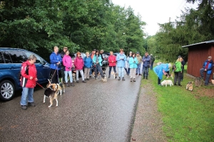 Wanderung durchs Tal der Kleinen Triebisch mit den Garsebacher Beaglegirls Elfie & Frieda