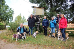 Beagle-Wochenende Neuhermsdorf (Sonntag)