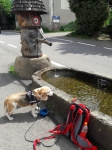 Funny am Brunnen