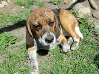 Cora - das war ich nicht