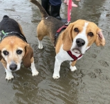 Kara und Harry an der Nordsee
