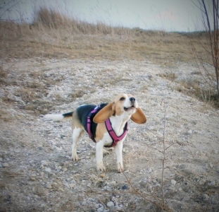 Alles hoert auf mein Kommando