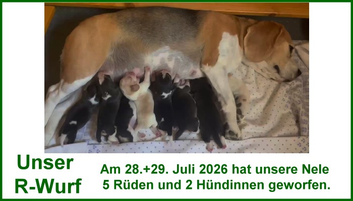 R-Wurf vom Colditzer Heimwtturm
