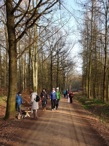 IMG-20200916-WA0021neu