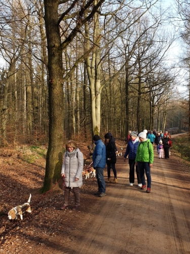 IMG-20200916-WA0030neu