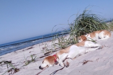 IMG-20200926-WA0022neu