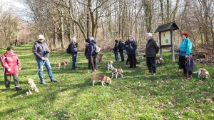 Halbtageswanderung am Elster-Saale-Kanal (Leipzig)