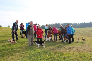 Beaglewochenende in Rechenberg-Bienenmühle OT Holzhau (Freitag)