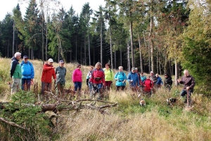 Beaglewochenende in Rechenberg-Bienenmühle OT Holzhau (Samstag)