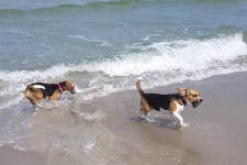 Tina und Amy am Meer