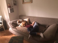 Enzo beim Mittagschlaf