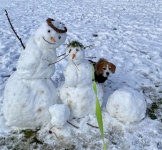 Paul und die Schneemänner