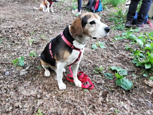 IMG_20220529_111640_BURST002