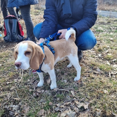 Fotos von Heike Leuteritz (1)