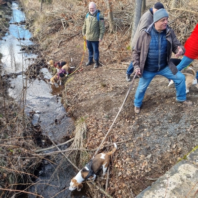 Fotos von Heike Leuteritz (12)