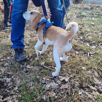 Fotos von Heike Leuteritz (15)