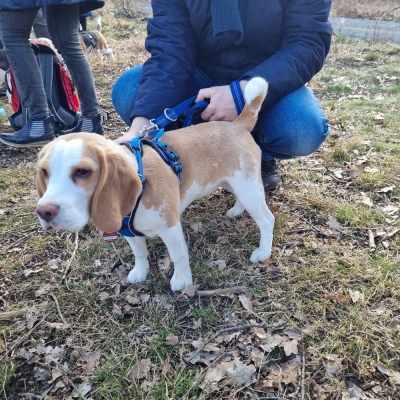 Fotos von Heike Leuteritz (16)