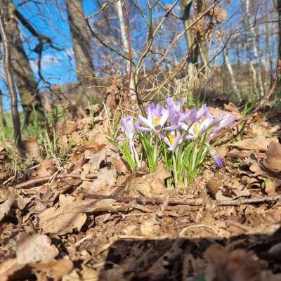 Fotos von Heike Leuteritz (7)