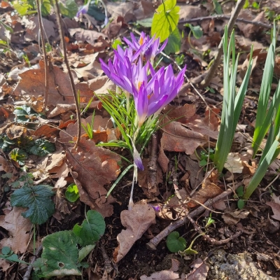 Fotos von Heike Leuteritz (8)