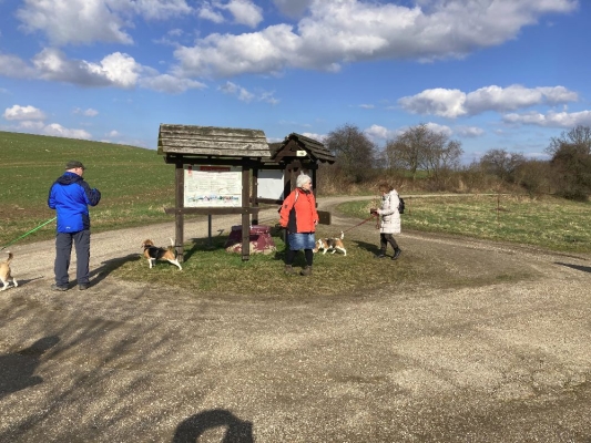 Fotos von Uwe Peter (3)