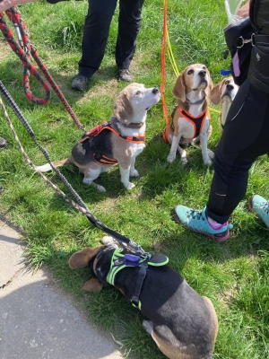 Aprilwanderung Messig2 (3)