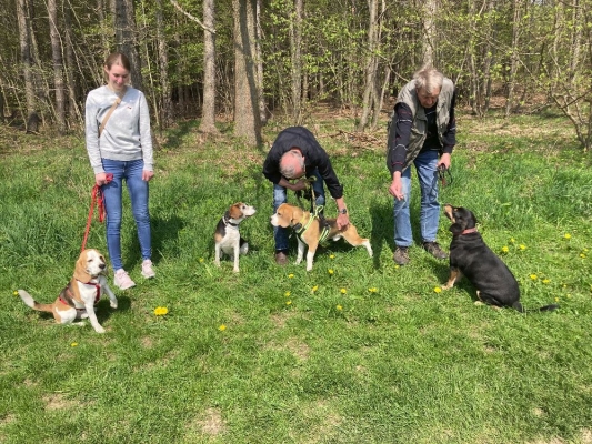 Aprilwanderung Messig2 (4)