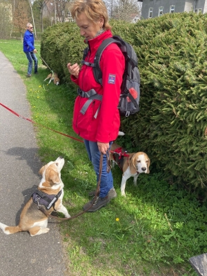 Aprilwanderung Messig2 (8)