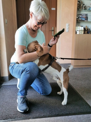 Fotos Stahlkopf (102)