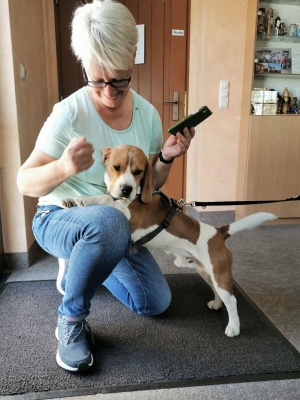 Fotos Stahlkopf (103)