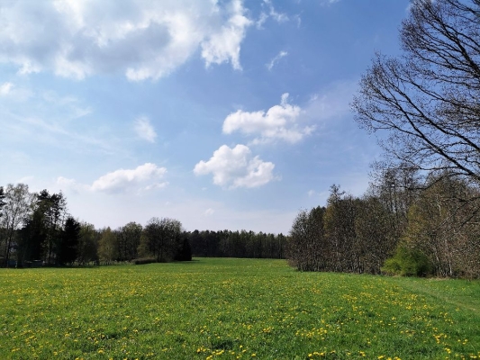 Fotos Stahlkopf (104)