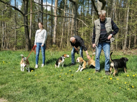 Fotos Stahlkopf (105)