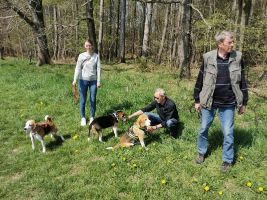 Fotos Stahlkopf (106)