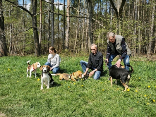 Fotos Stahlkopf (107)