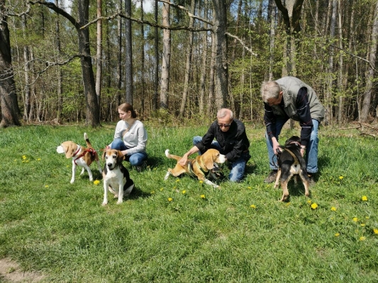 Fotos Stahlkopf (108)