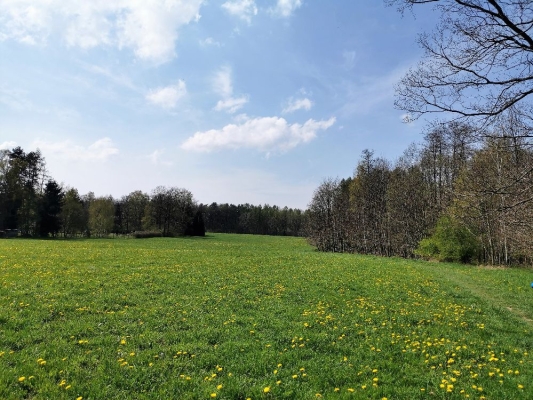 Fotos Stahlkopf (109)