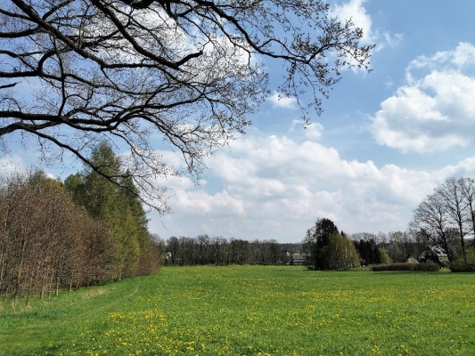 Fotos Stahlkopf (110)