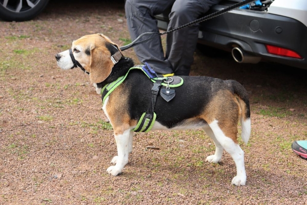 Fotos Stahlkopf (21)