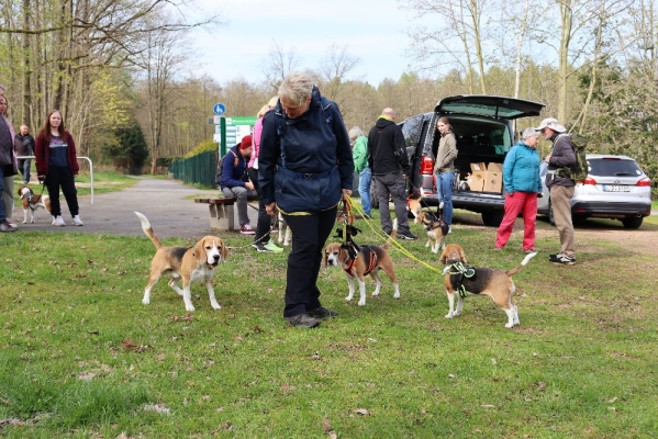 Fotos Stahlkopf (33)