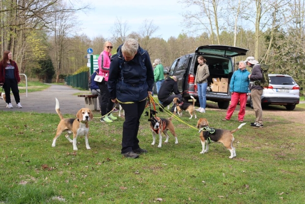 Fotos Stahlkopf (34)