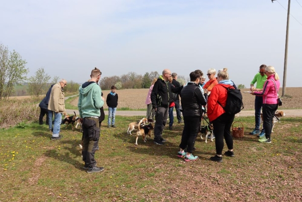 Fotos Stahlkopf (40)