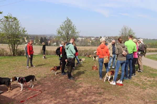 Fotos Stahlkopf (42)