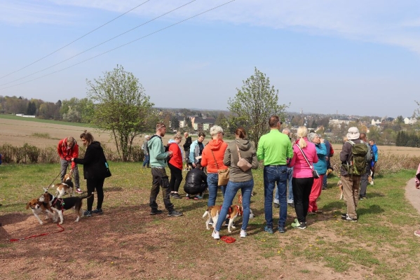 Fotos Stahlkopf (43)