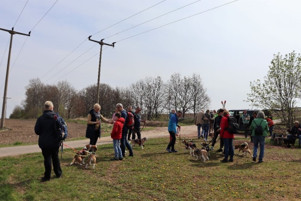 Fotos Stahlkopf (45)