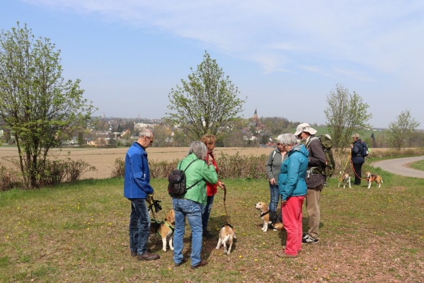 Fotos Stahlkopf (46)