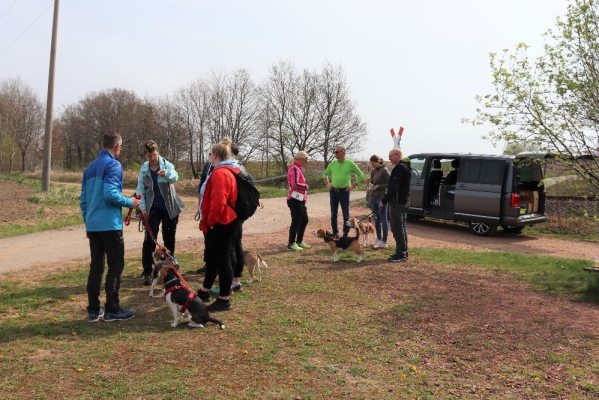 Fotos Stahlkopf (48)