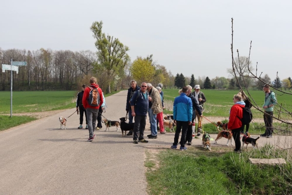 Fotos Stahlkopf (62)