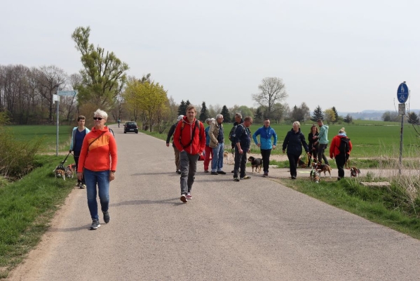 Fotos Stahlkopf (63)