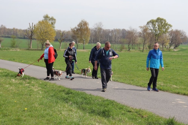 Fotos Stahlkopf (64)