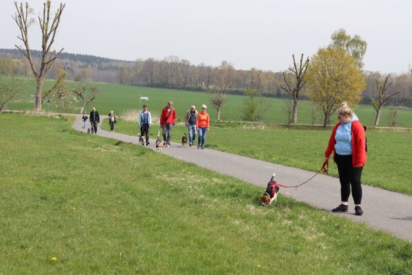 Fotos Stahlkopf (65)