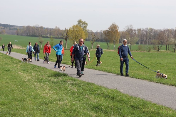 Fotos Stahlkopf (67)